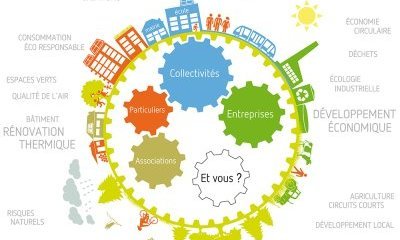 Enr : acteurs et réseaux d'acteurs en Occitanie