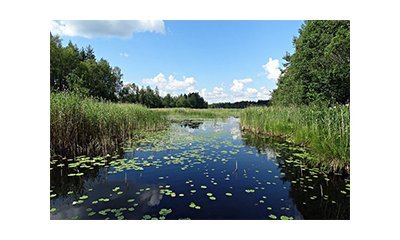 La gestion de l'eau dans le contexte du changement climatique