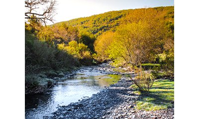 Restauration d'une zone d'expansion de crues et de mobilité