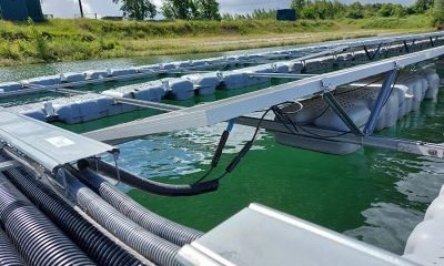 Dossier #6 : le photovoltaïque flottant