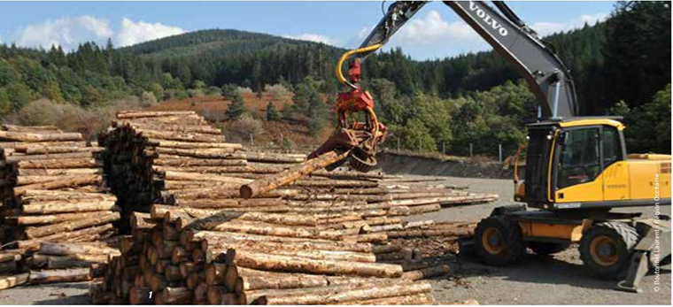 Soutenir les filières locales de bois par les opérations de constructions et rénovations