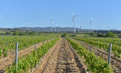 Mercredi 16 octobre 2024 : Le compte-rendu du séminaire Les GÉnÉRATEURS et France Renouvelables "Développement de la filière éolienne en Occitanie" est disponible