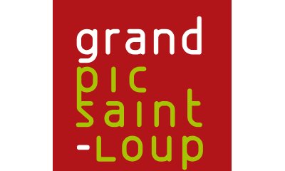 Réalisation d'un Schéma Global des Déplacements