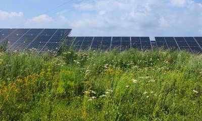 illustration Un parc solaire en autoconsommation collective