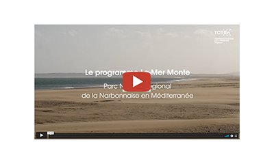 illustration Le programme La Mer Monte : imaginer ensemble comment s'adapter 