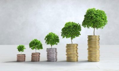 13 mai 2025 : l'enregistrement du webinaire "Budget vert, de quoi parle t-on ?" est disponible.