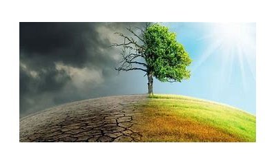 L'adaptation au changement climatique : du global au local