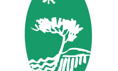 illustration Elaboration de cahiers techniques de l'urbanisme durable